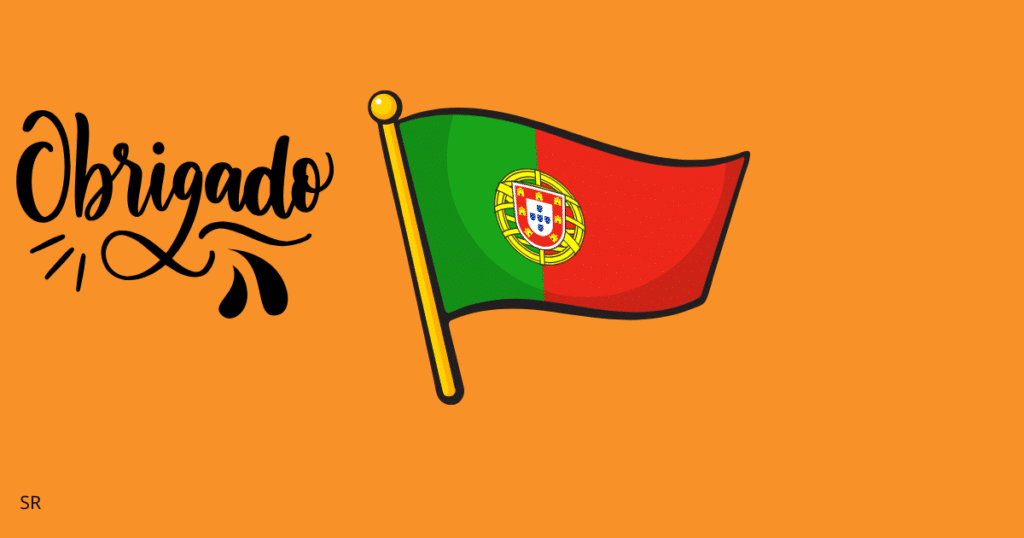portuguese flag
