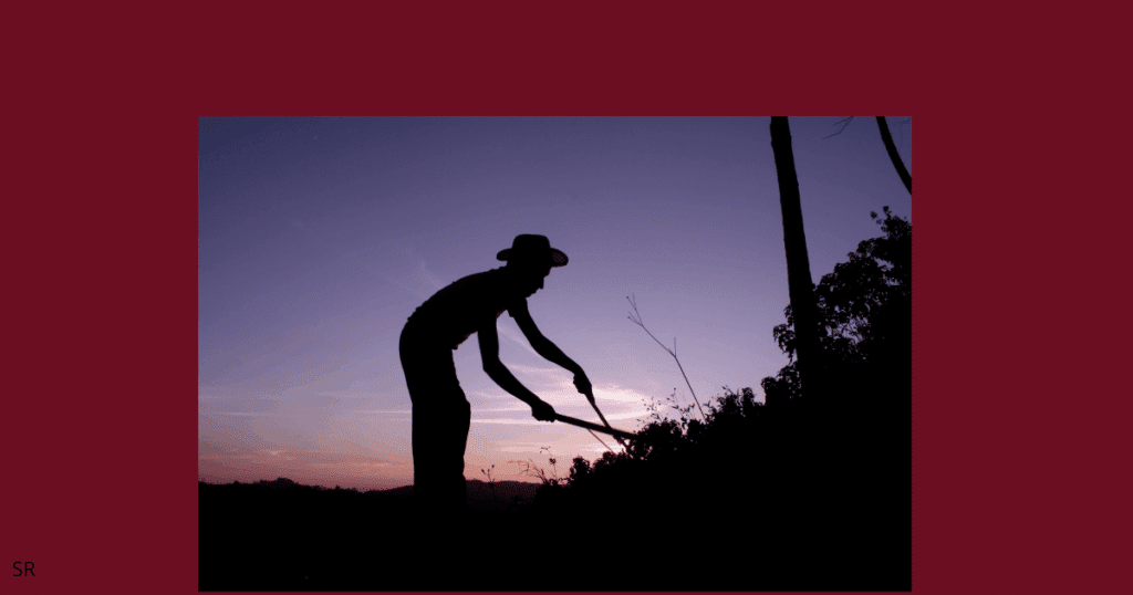 an image showing a farmer working hard 
